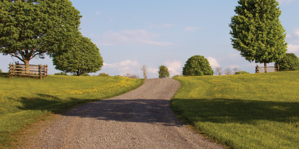 How to Get Relief from Dry Eyes